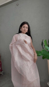 Pastel Super Net Kota Saree with Resham Embroidery