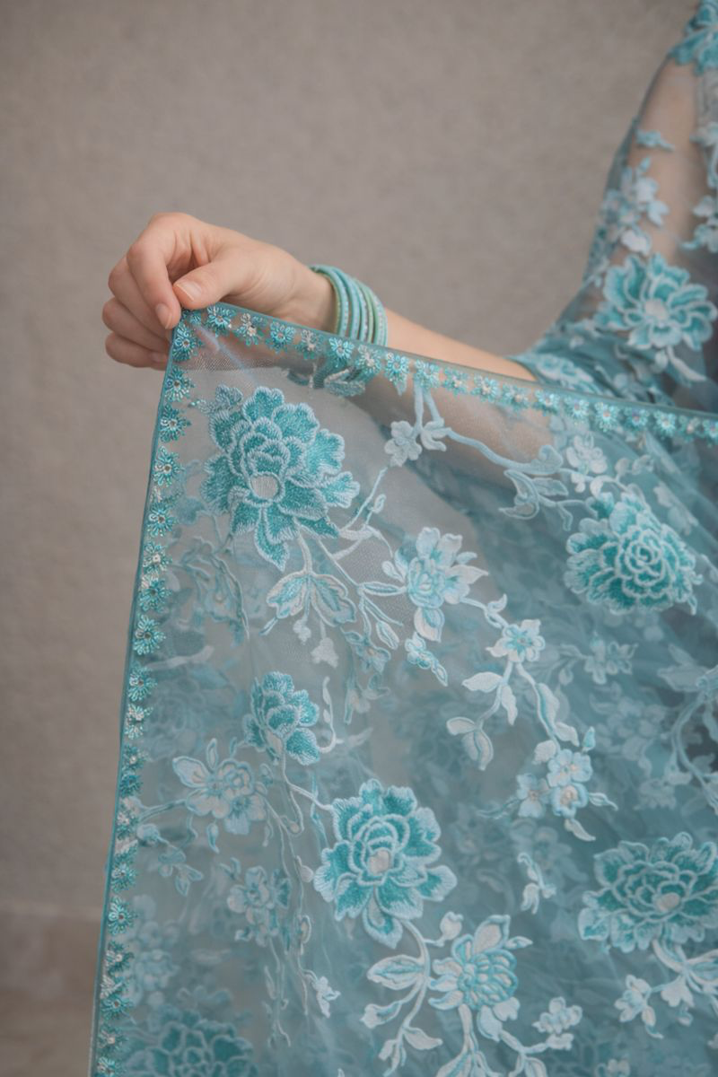 Brasso Organza Floral Print Saree